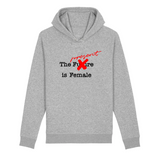 sweatshirt the future is female